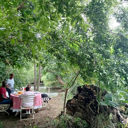 Shalom Place Of Peace Vasfontein Ngoại thất bức ảnh