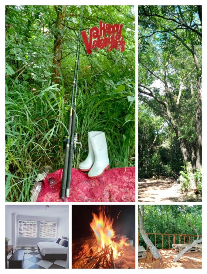 Shalom Place Of Peace Vasfontein Ngoại thất bức ảnh